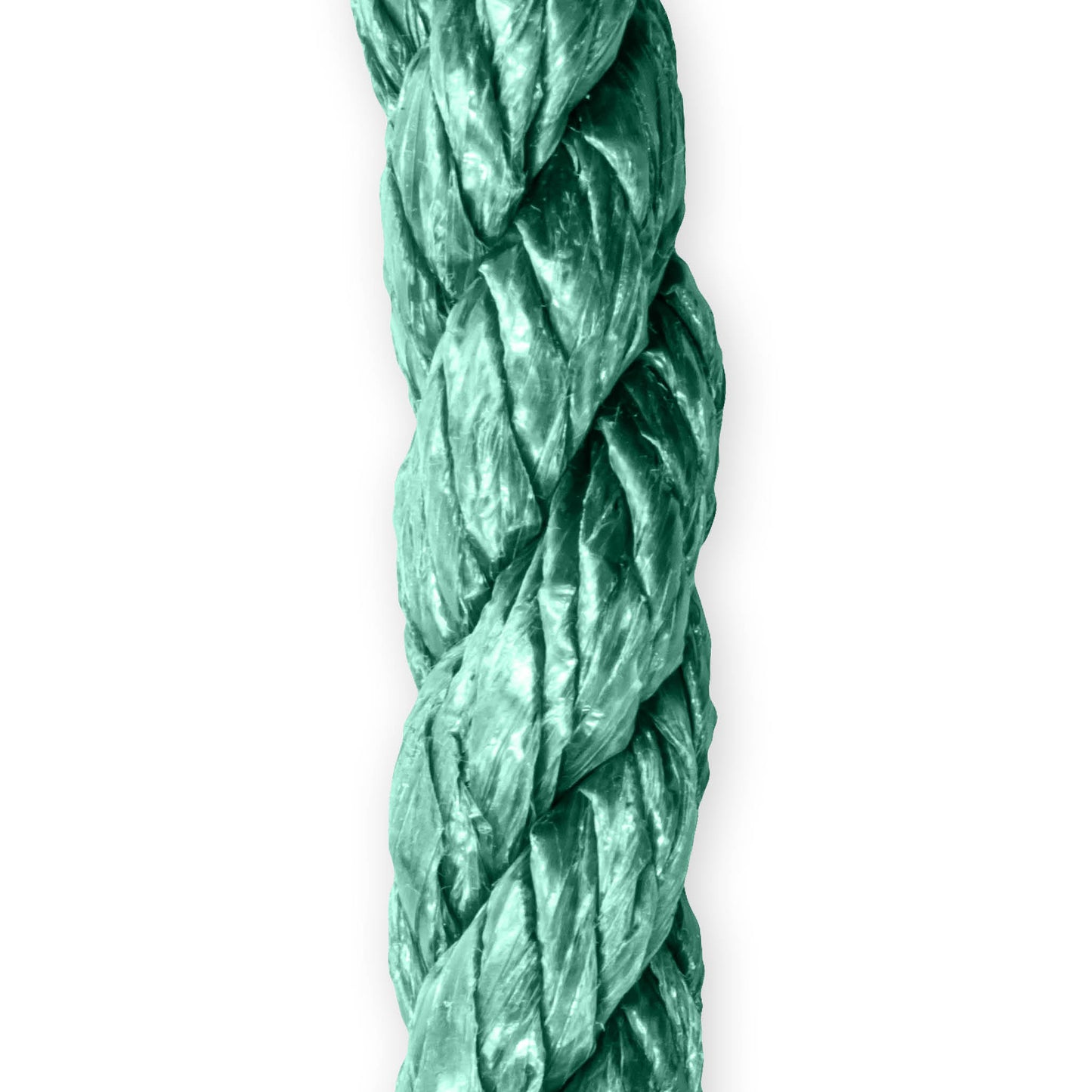 Cuerda monofilamento torcida