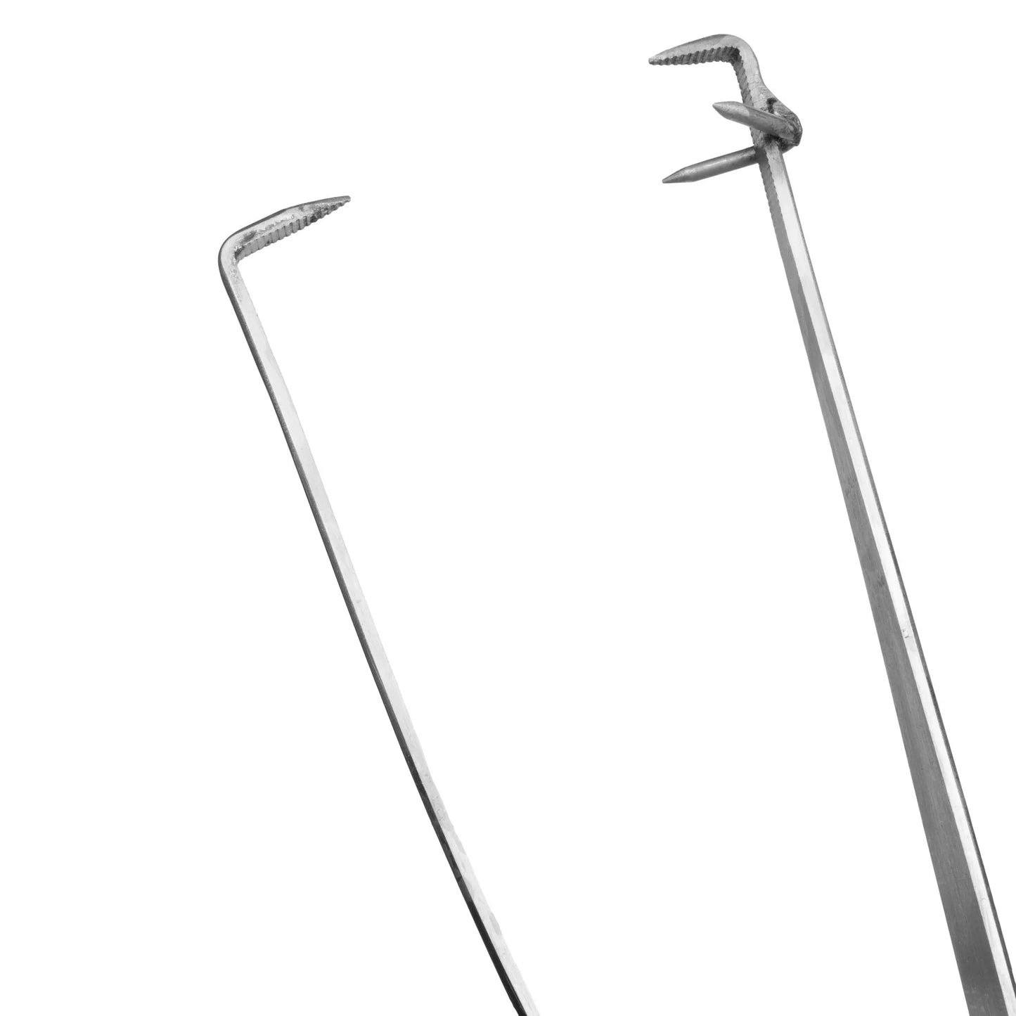 Pinza de inmersión para platos